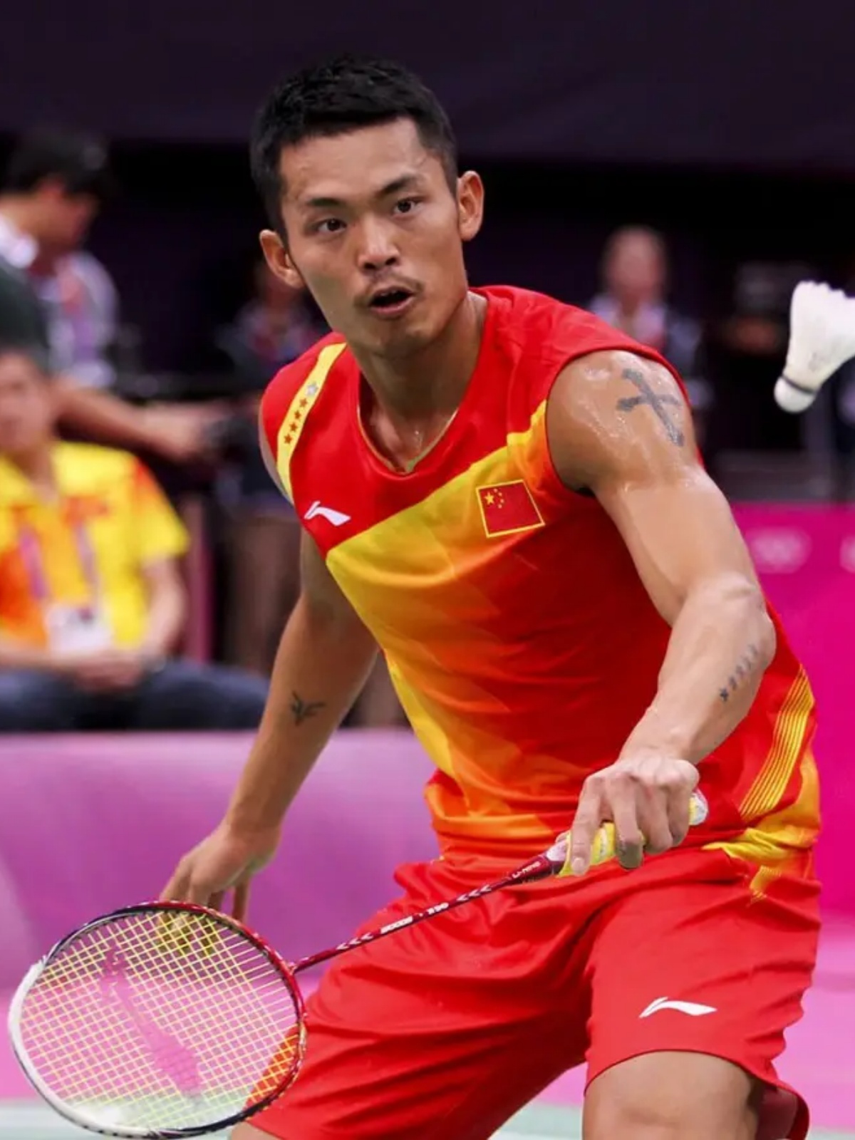 接连的胜利 接连的胜利